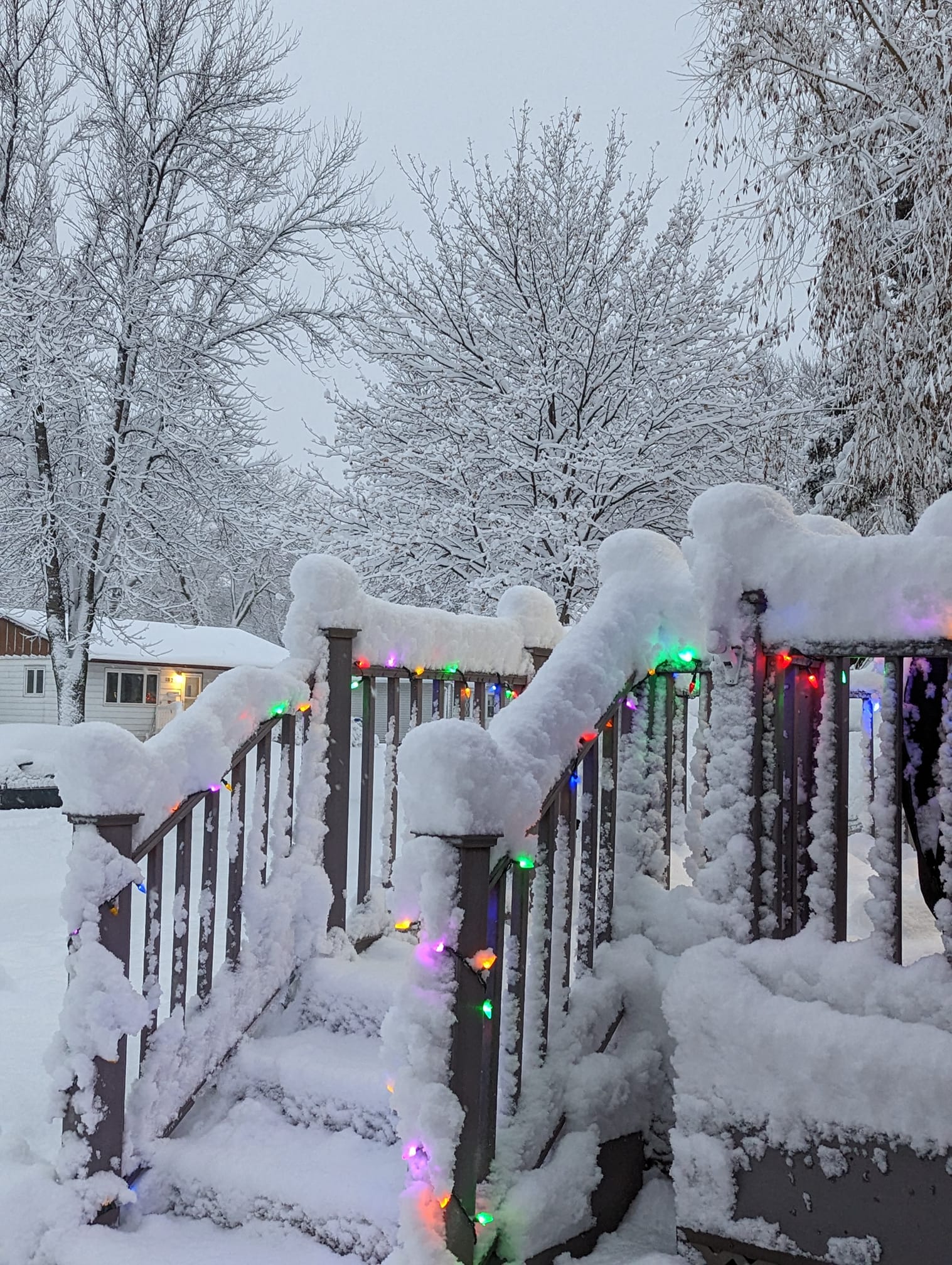 Heavy Snow Grand Forks