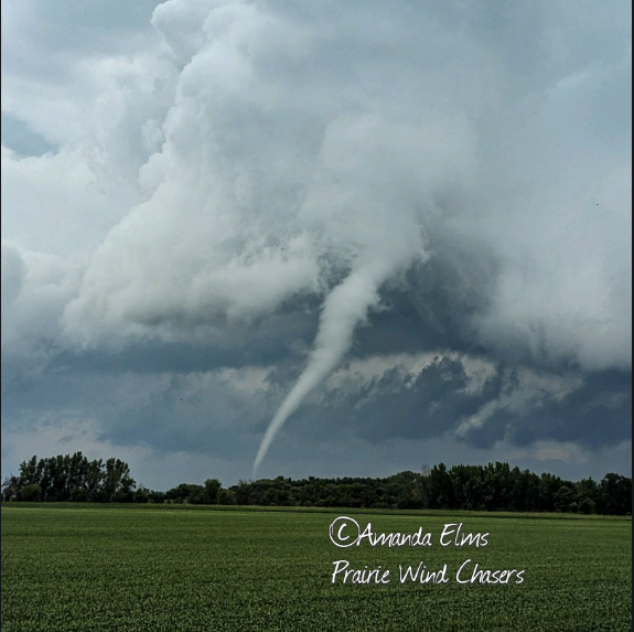 Tornado 5NW of Borup,MN - Photo Courtesy of Amanda Elms