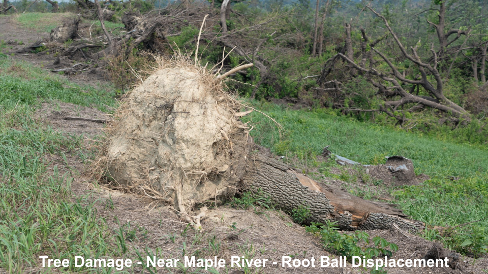 EF2 Tornado near Spiritwood, ND roping out