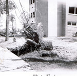 Damage Pictures