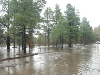 Sheet flows flooded Landfill Road and adjoining areas on the south side of U.S. Hwy 89.