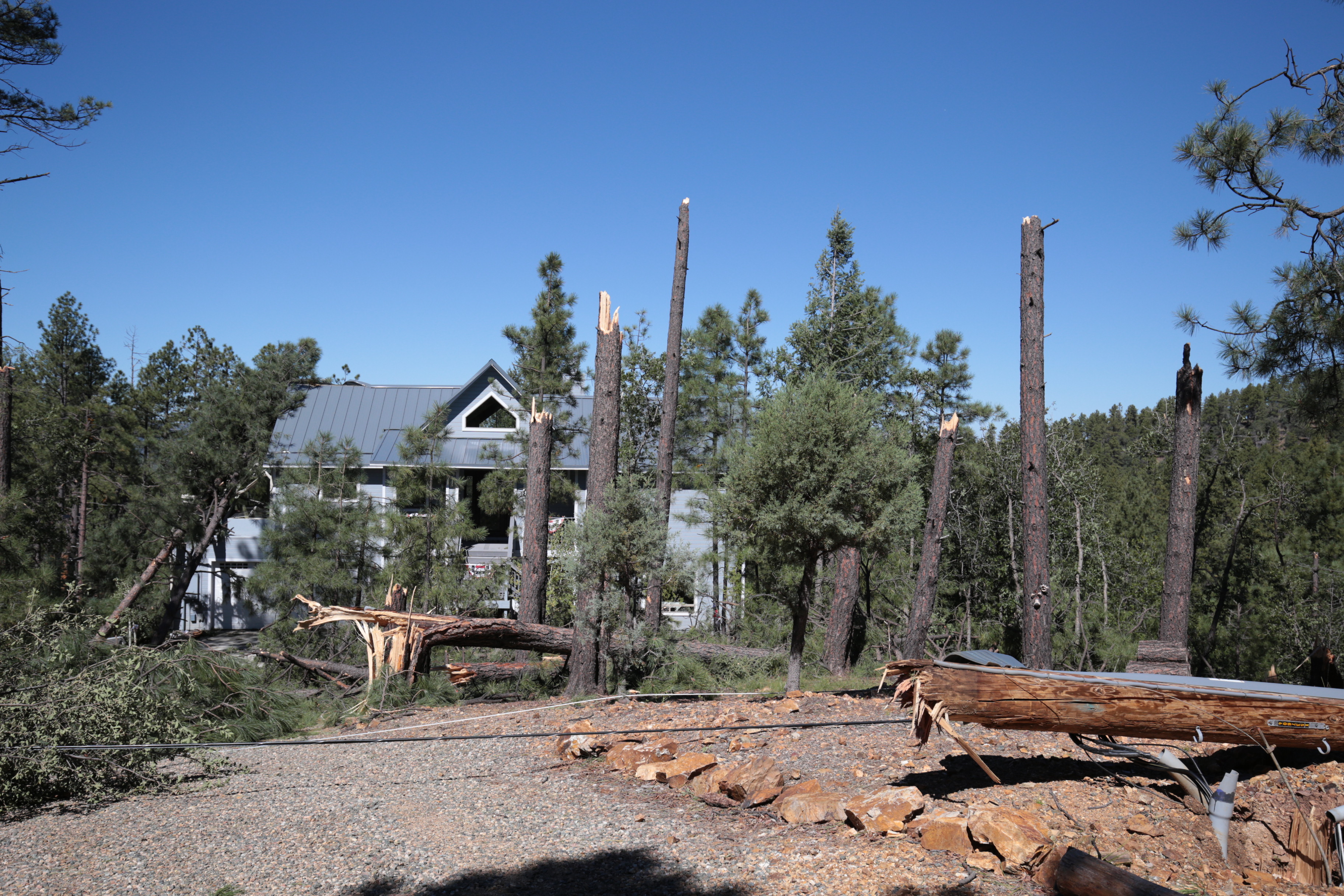 Trees snapped off at the trunk caused damage to the residential structure in the background.