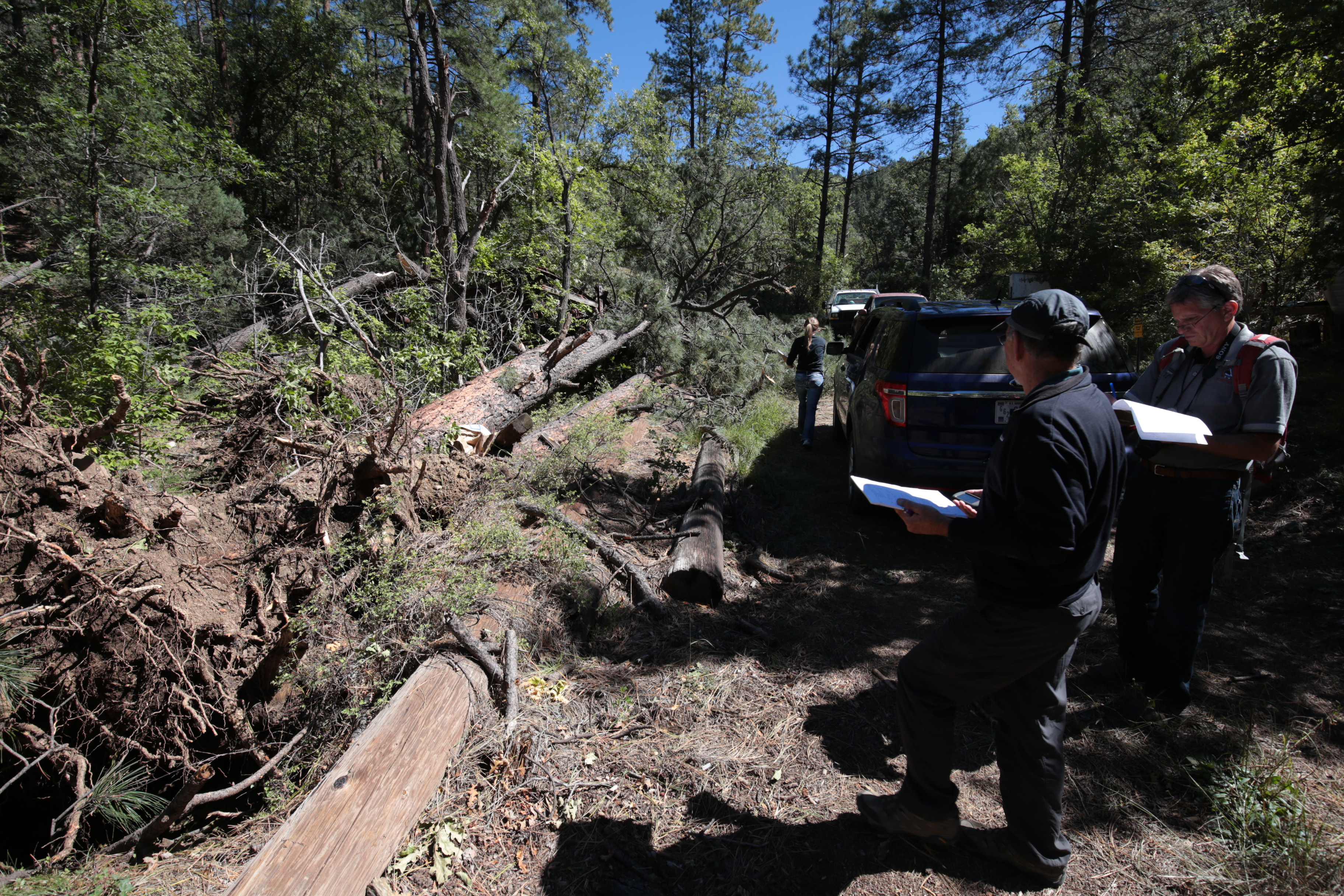 NWS Flagstaff employees assessing tree damage near Groom Creek in the Bradshaw Mountains. The assessment would rate the tornado as an EF-0.