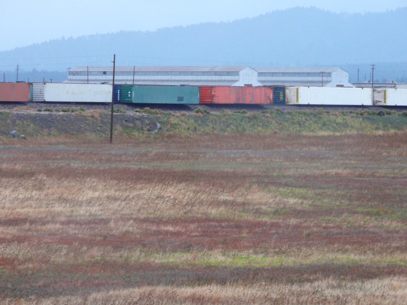 Multiple Train Cars Derailed In Bellemont