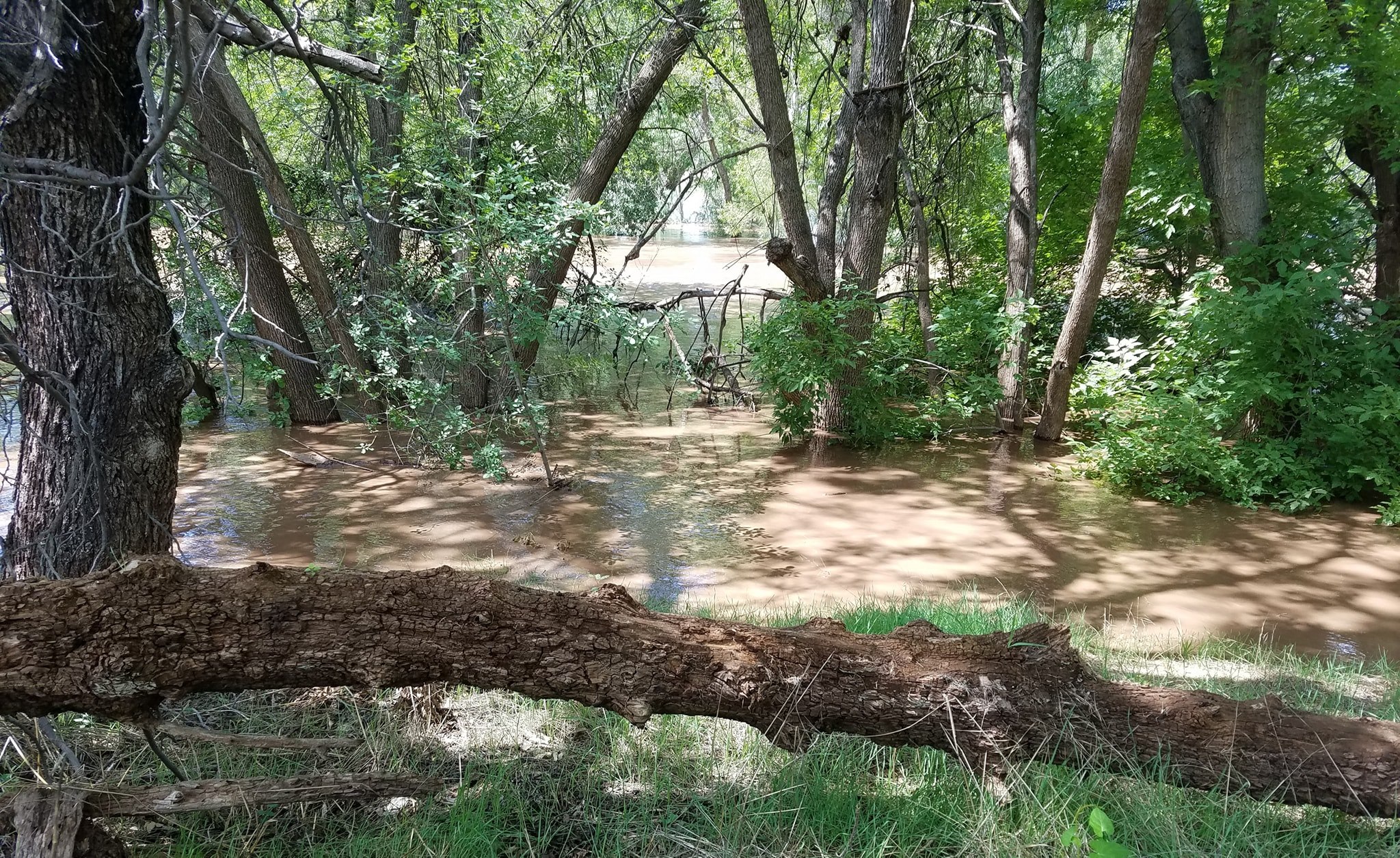 Camp Verde White Bridge