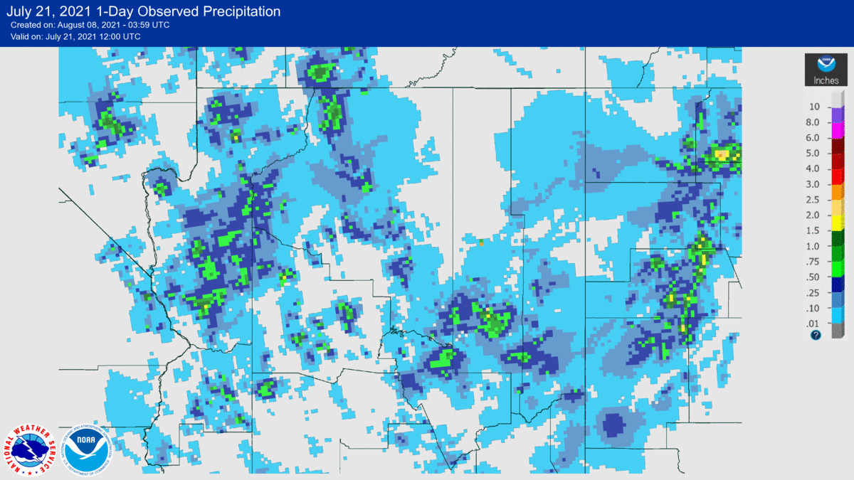 Daily observed precipitation