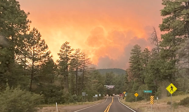 Backbone Fire from Pine