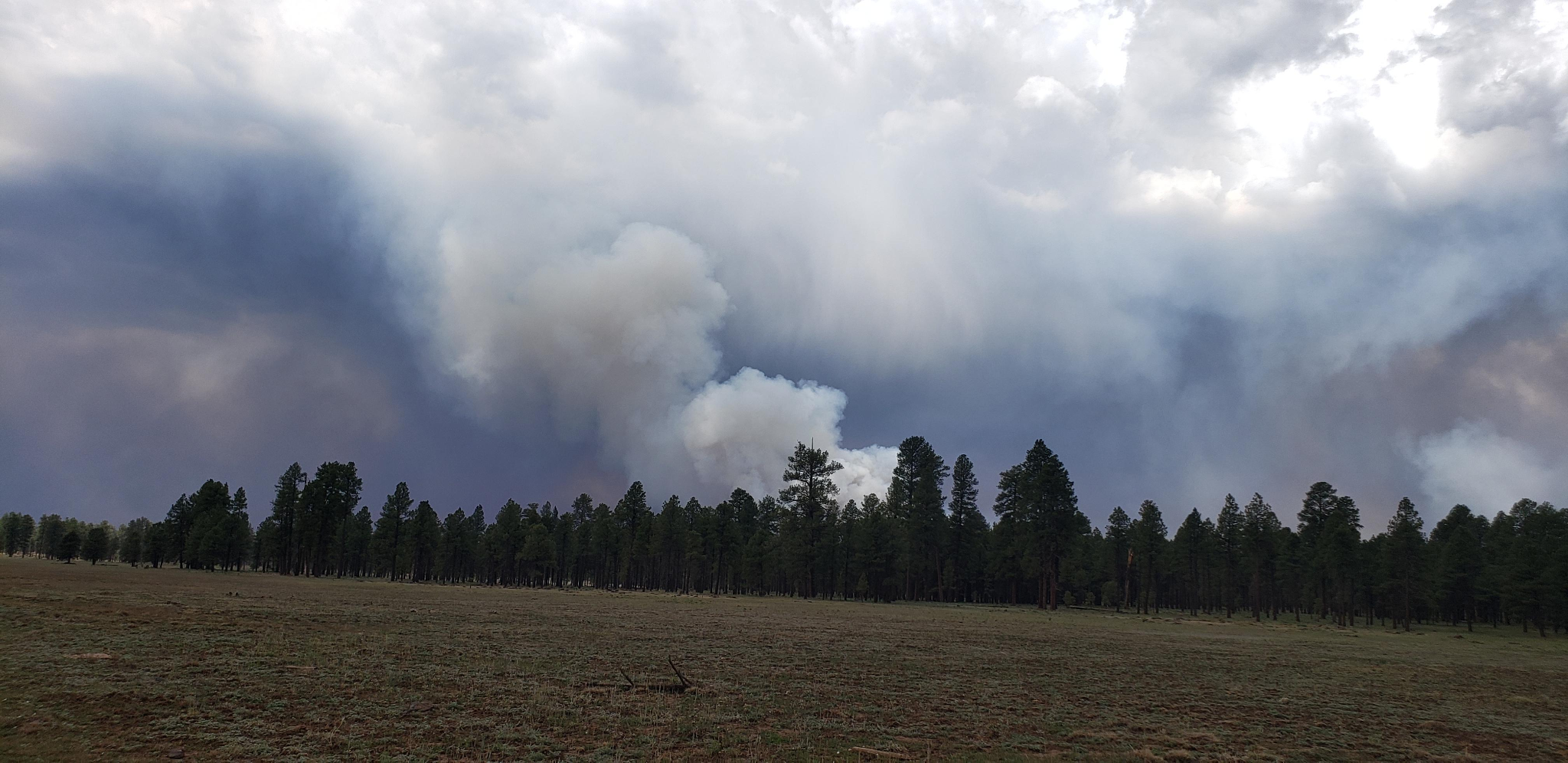 Smoke column Rafael Fire.