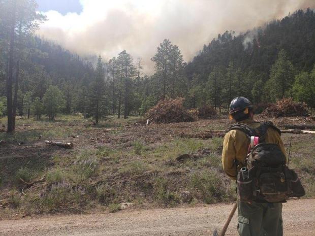 A wildland fire fighter standing on a Forest Service road with smoke from the Museum Fire in the background.