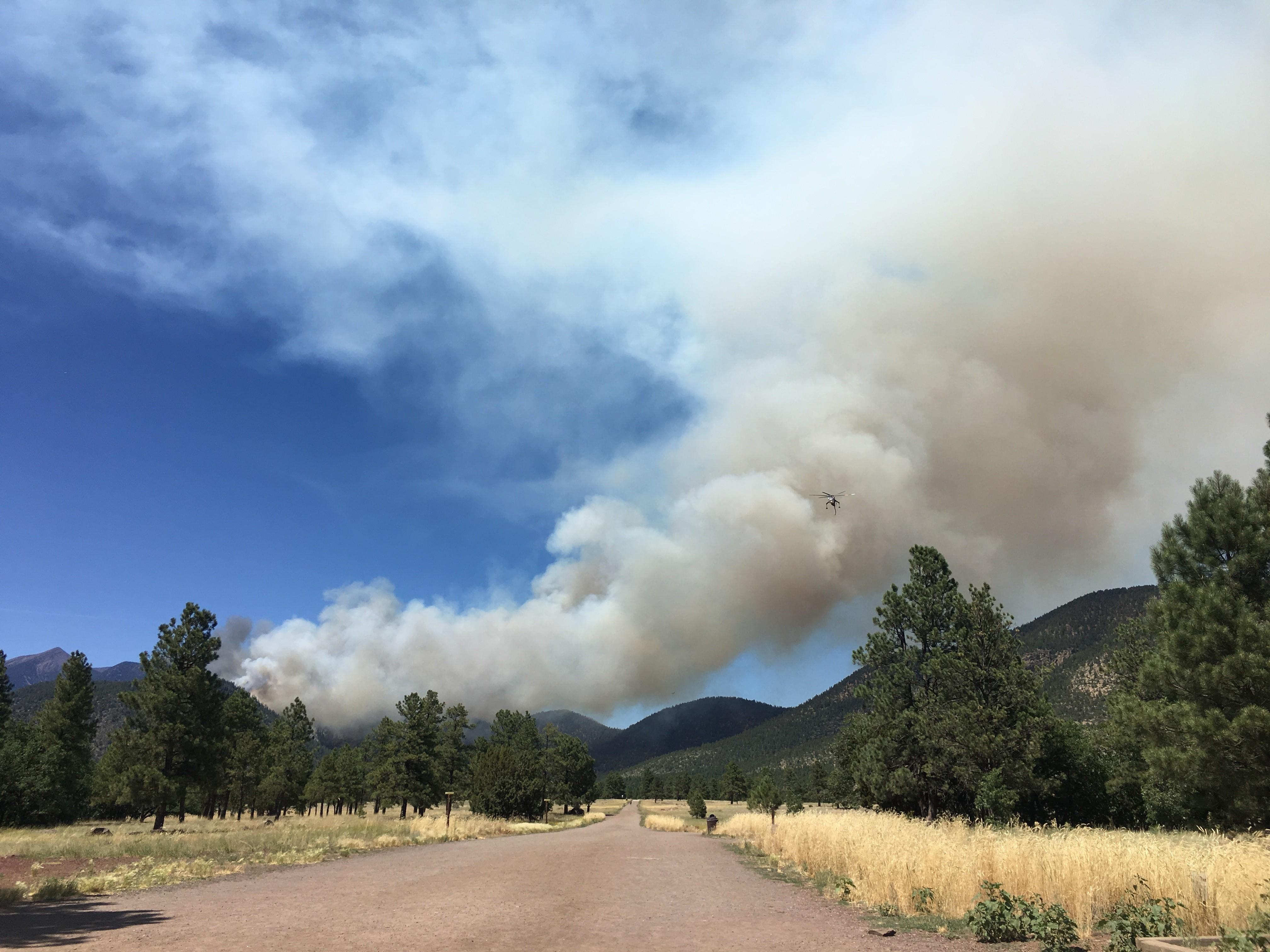 View of smoke from the Museum Fire on a Forest Service road.