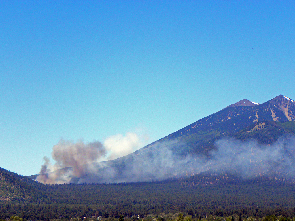 Smoke from the beginning of the fire on June 20, 2010 around noon. Photo credit: Mike Elson