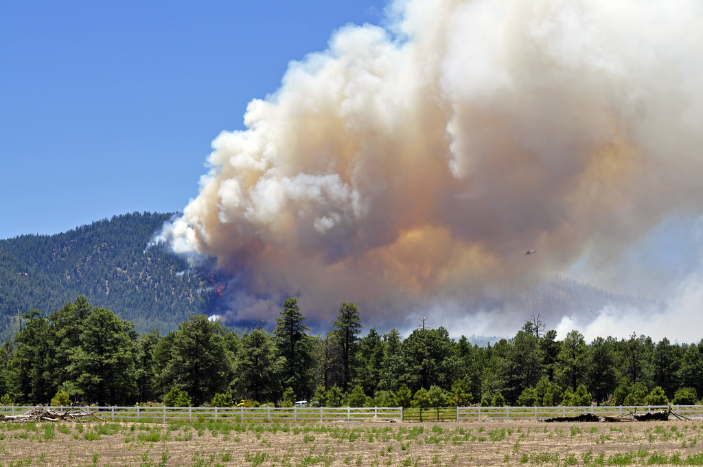Smoke and flames of the Schultz Fire as seen from Doney Park. Photo credit: USDA Forest Service, Coconino National Forest