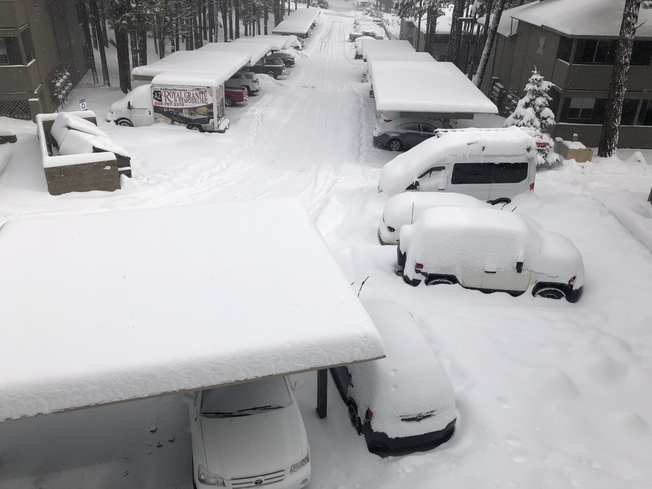 2-3 feet of snow in Flagstaff