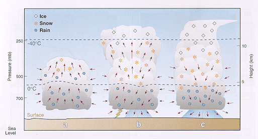 Image showing the life cycle of a thunderstorm