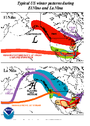 Typical winter atmospheric responses to El NiÃ±o and La NiÃ±a.