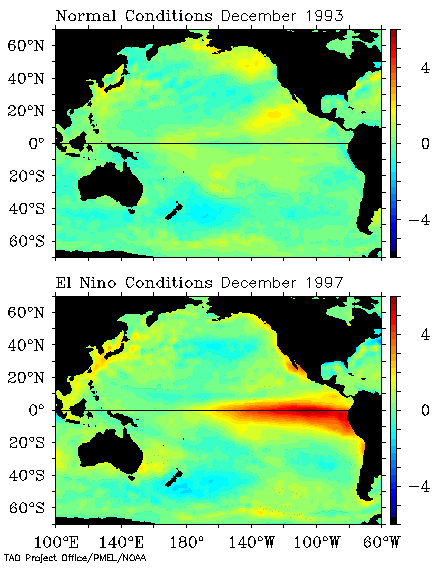 image showing sea surface temperatures in normal and El Nino conditions.