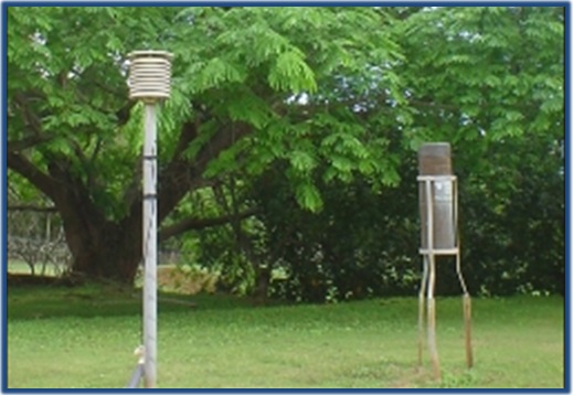 Typical NWS COOP Thermometer and Rain Gauge