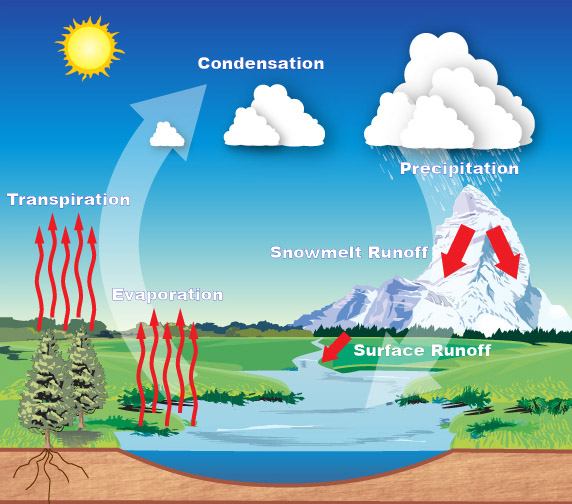 water cycle condensation