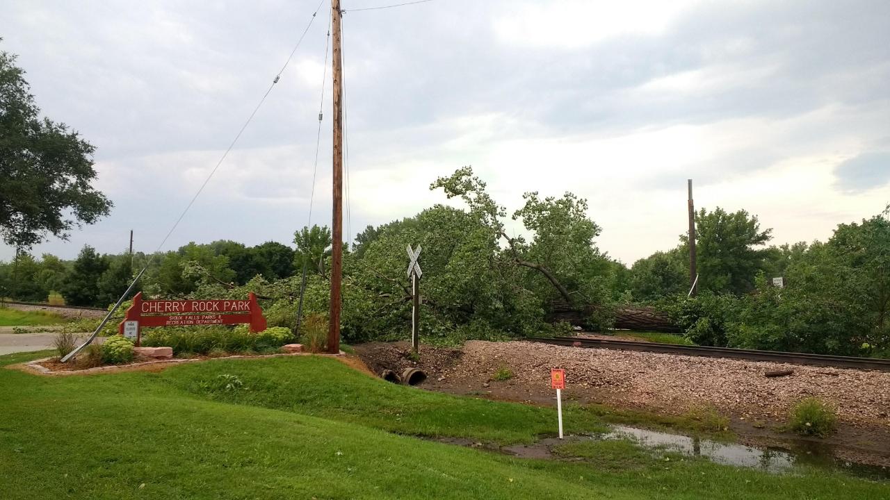 Fallen tree at entrance to Cherry Rock Park in Sioux Falls
