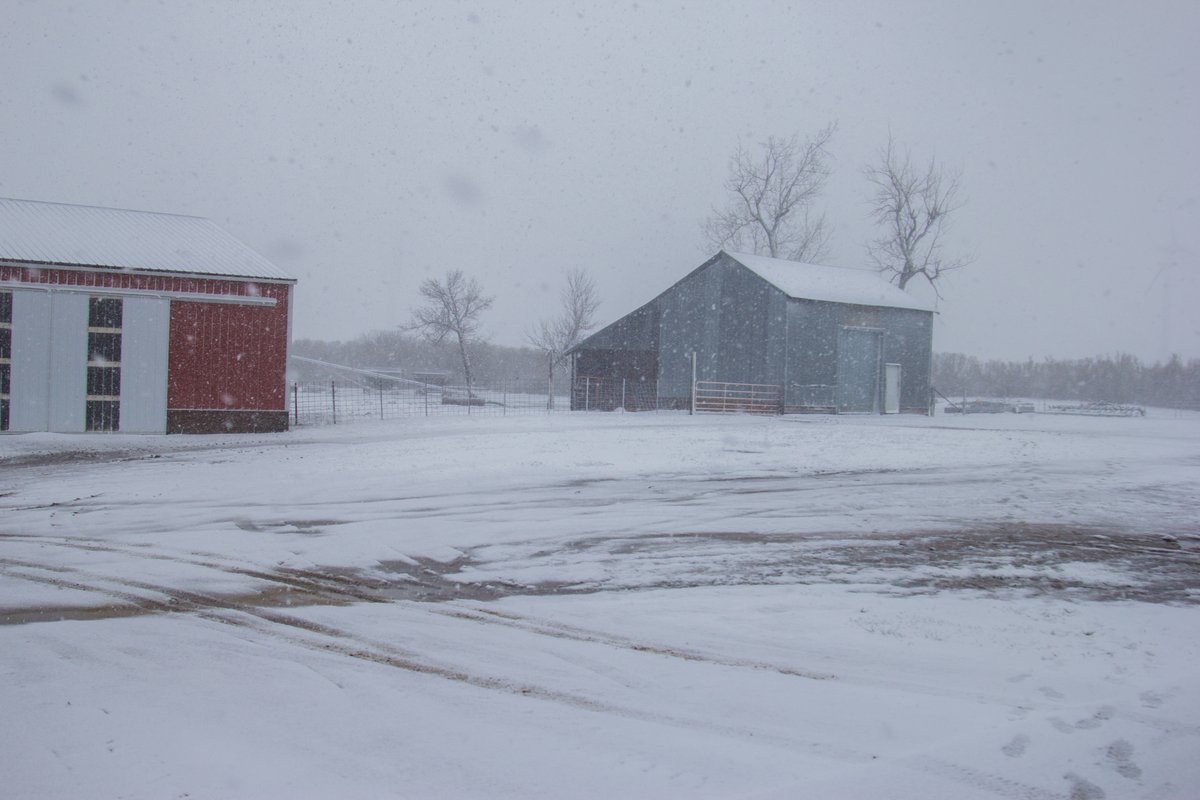 Snowfall in Ruthton, MN