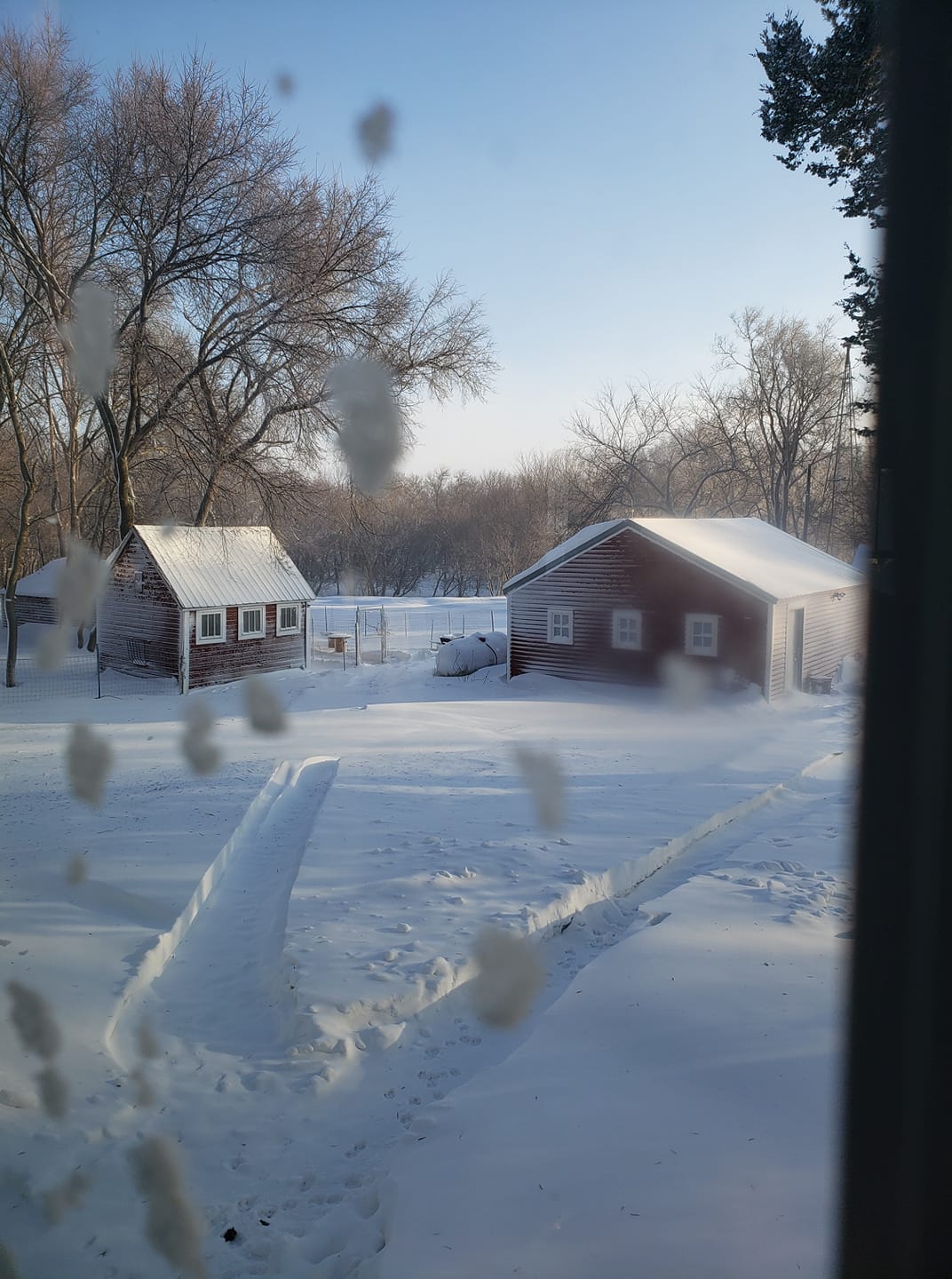 Turner County SD (Wayne Wagner)