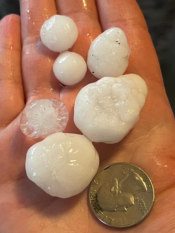Handful of half quarter to half dollar sized hail, Sherbern MN
