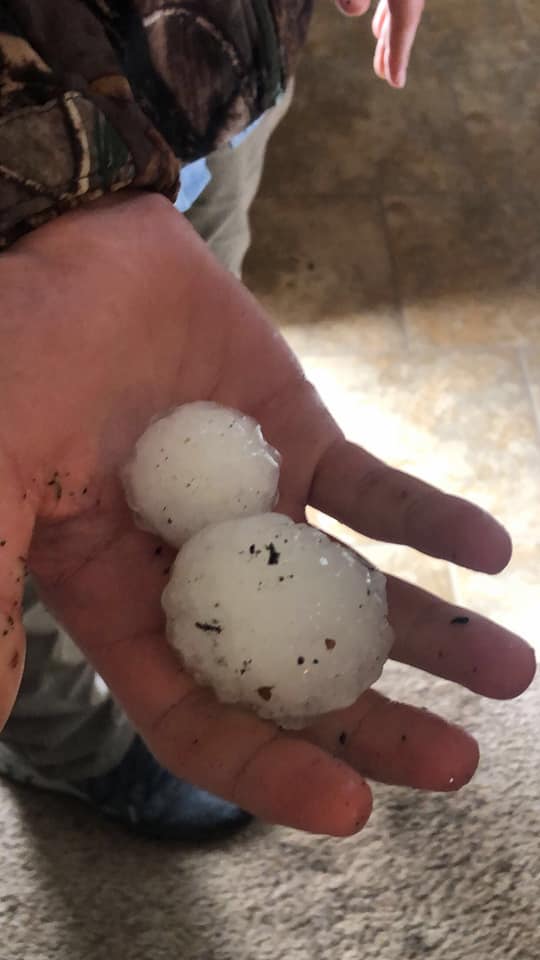 Hand holding two hail stones, one approximately ping pong ball, the other approximately half dollar, Parkston SD
