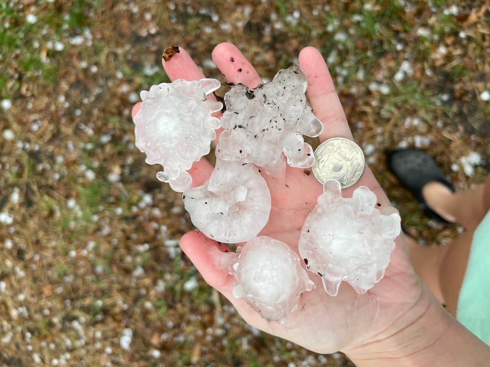Handful of spikey, ping pong ball sized hail, Trimont MN