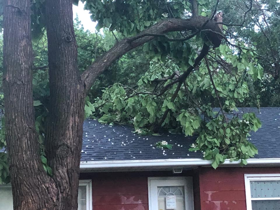 Large tree limb on roof east of Sioux Falls airport, where 82 mph winds were measured Monday evening.