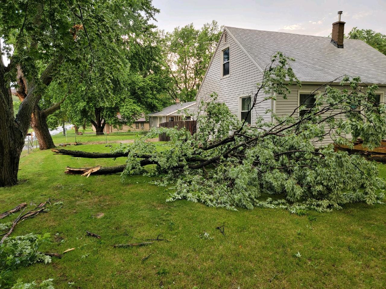Tree Damage just east of Sioux Falls Airport