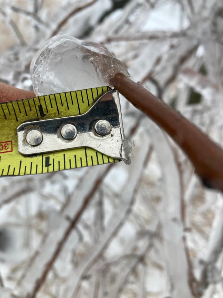 Metal tape measure showing 1 inch of ice accretion around a small tree branch.