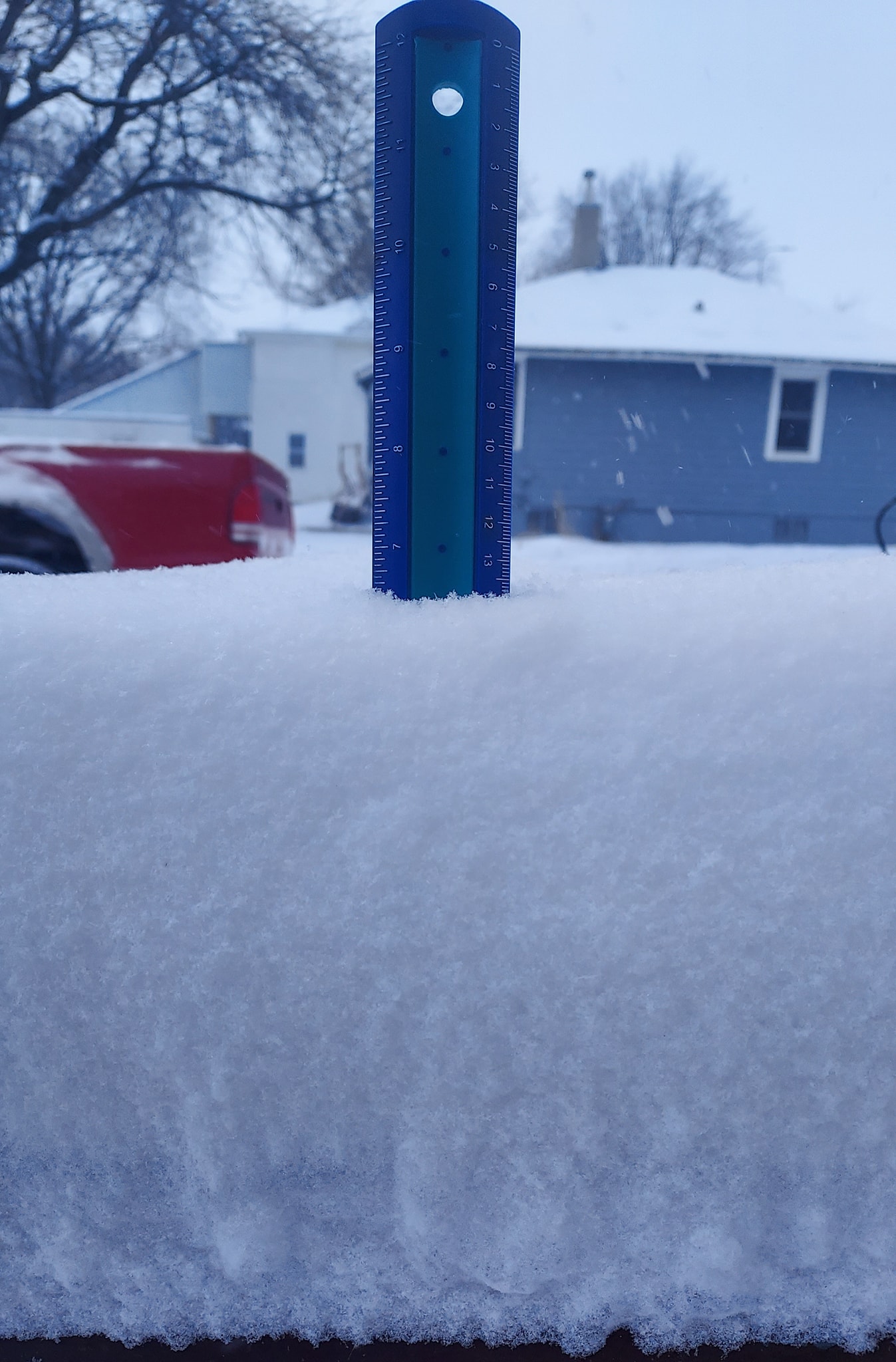 Blue plastic ruler stuck into a snow bank, showing a measurement of 6.5 inches of snow accumulation.