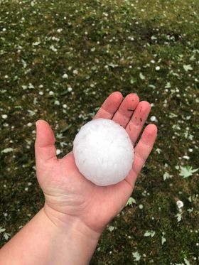 Photo of 2.5 inch hail near Lake Benton, Minnesota