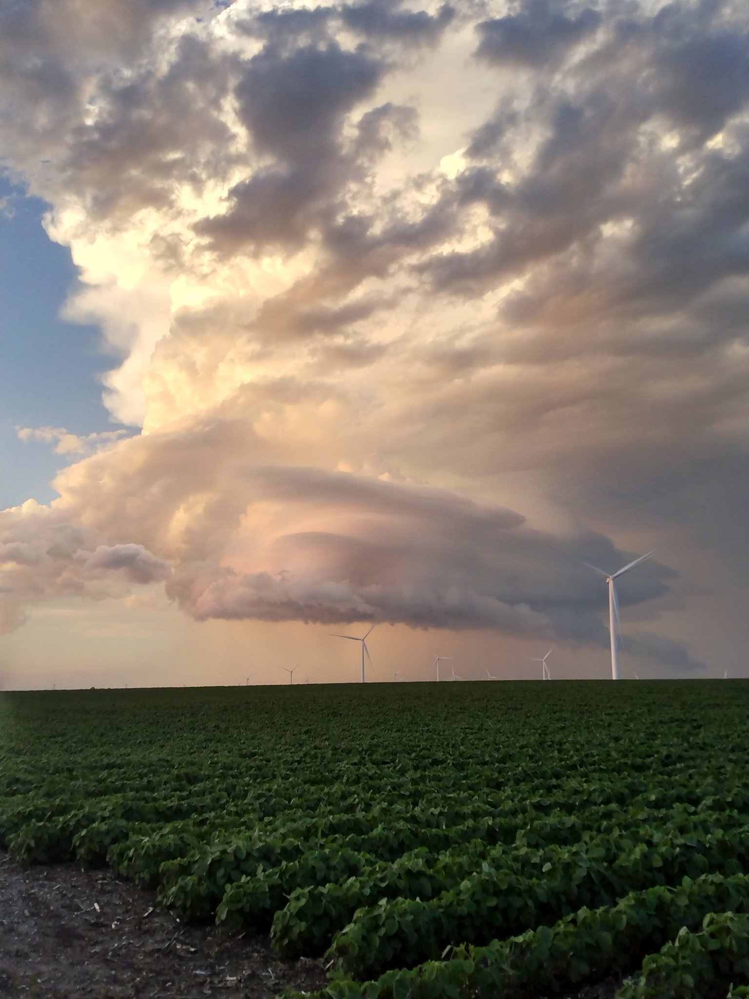 Photo of the supercell thunderstorm taken from Primghar, Iowa.