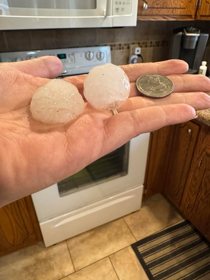 Photo of two hail stones compared to a quarter. Hail is slightly larger than the quarter.