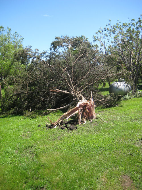 Tree Damage near I-90 From Storms on May 30th.