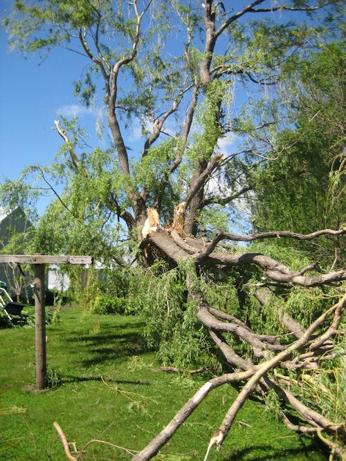 Tree Damage near I-90 from storm on May 30, 2011. 