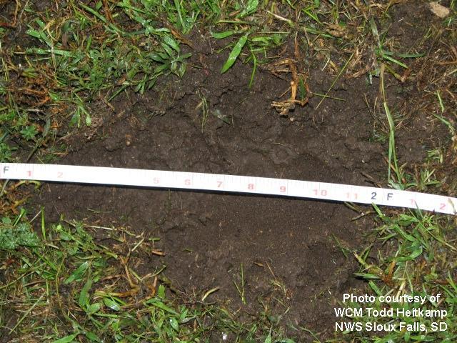 Divot measuring 12 inches across caused by large hail in Dante, SD - August 21, 2007
