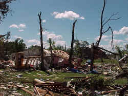 Heavily damaged house and trees.