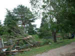 Tree damage at home in southeast Centerville.