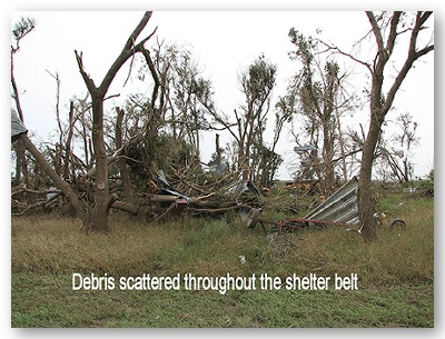 Click image to enlarge.