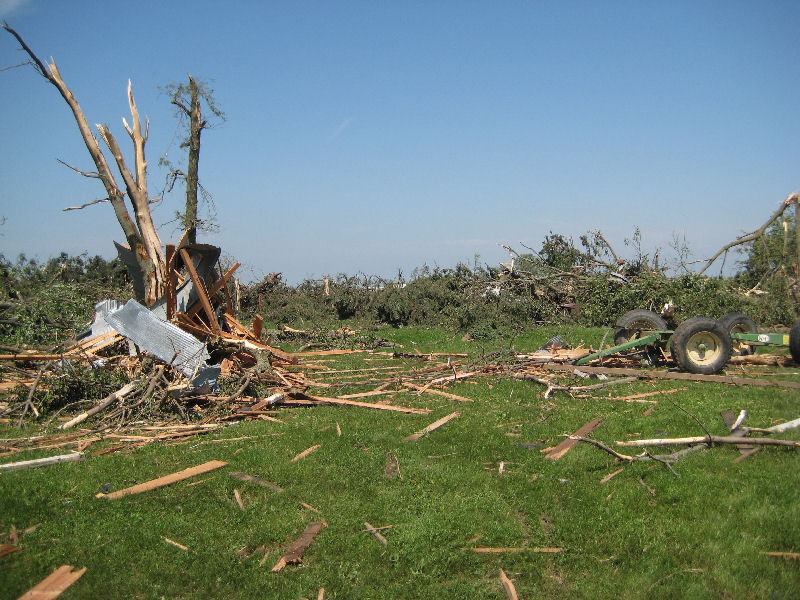 Picture of the shelter belt.