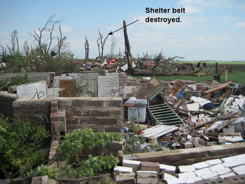 View of destroyed hom and shelter belt trees.