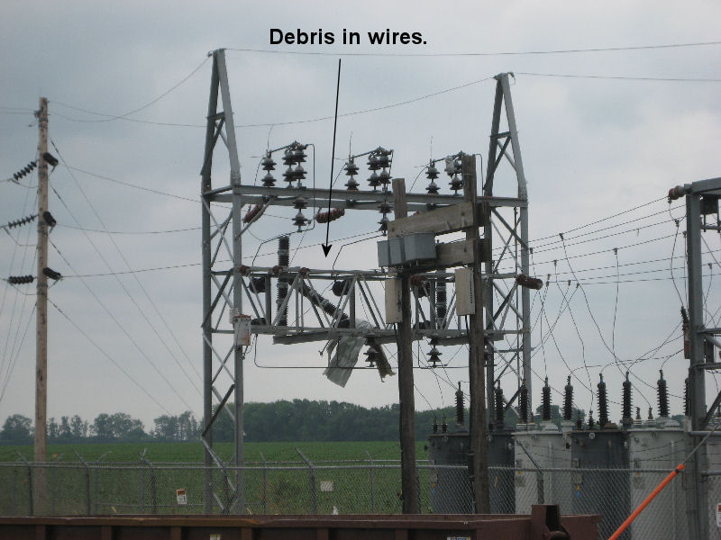 Debris hanging in wires in a power substation.