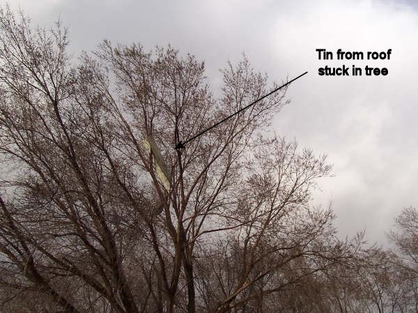 Tin from roof embedded in tree.