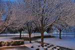 Picture of snow at the National Weather Service in Ft. Worth during the morning hours of February 11th, 2010.