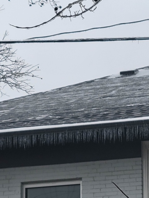 ice on trees, power lines, and a house