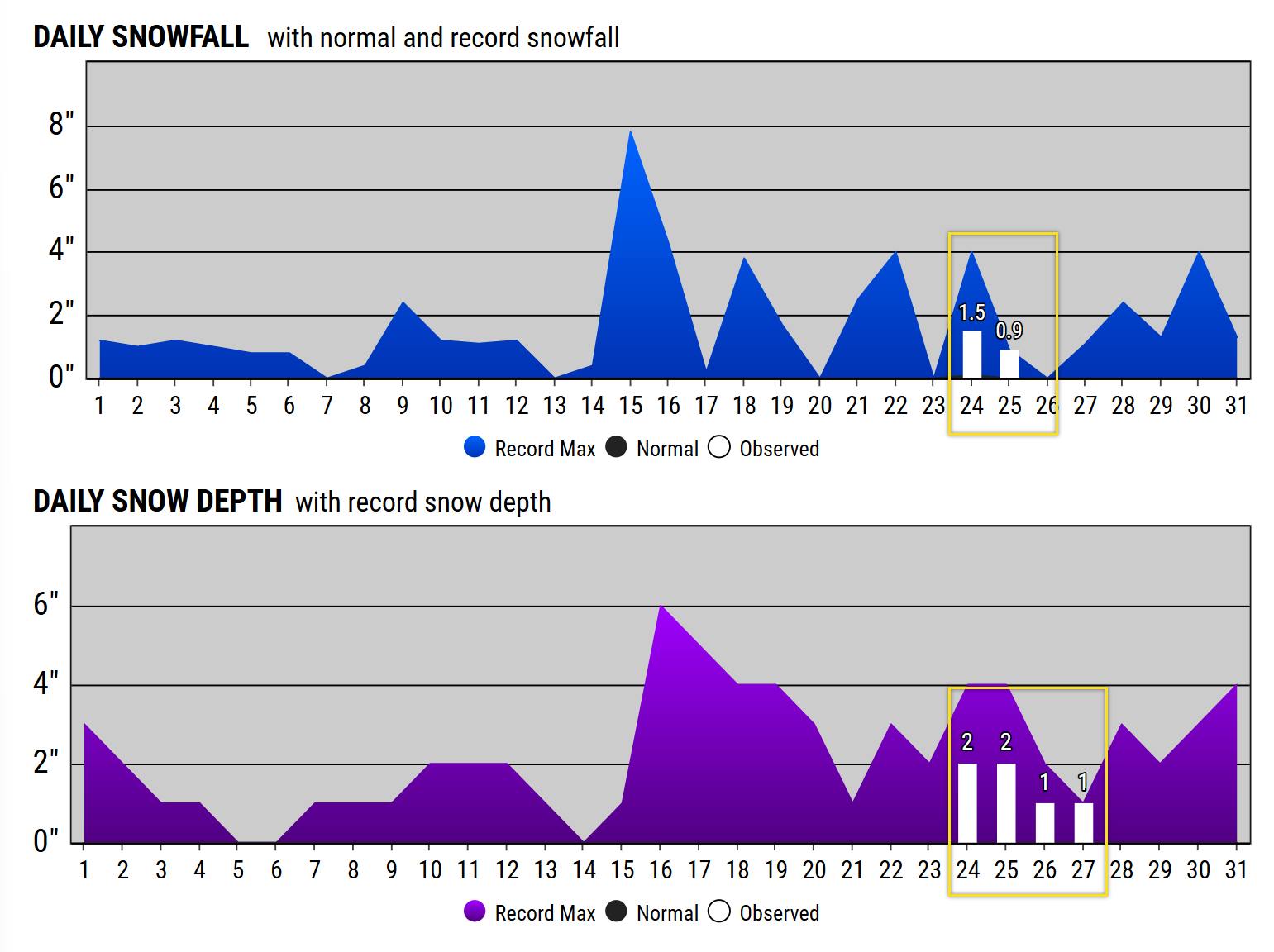 DFW Snowfall January 2026