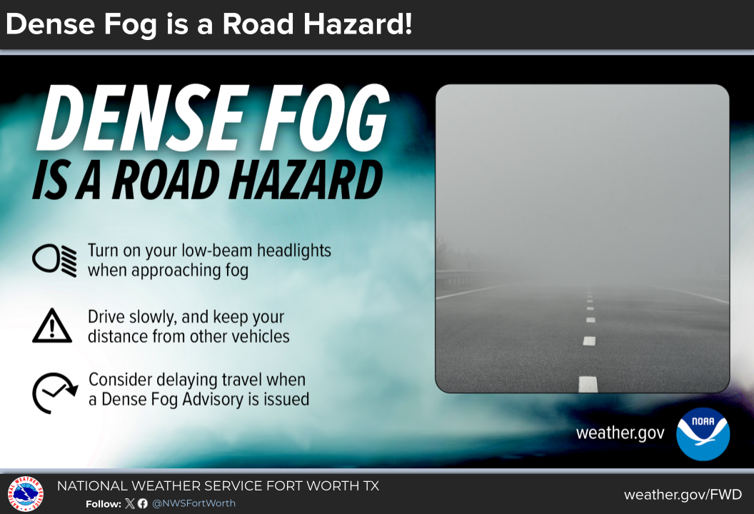 Dense Fog Safety