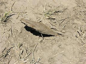 Tornado Damage Picture - Click image to resize.